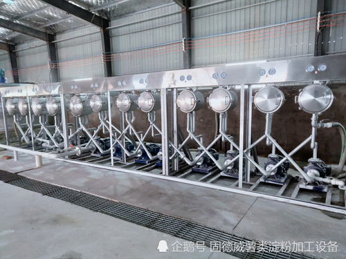 成立红薯淀粉加工厂的必要因素有3点,能源 资源和淀粉加工设备技术