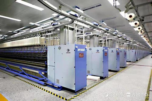 为国创业为民造福,魏桥创业集团女企业家群培养模式值得各界关注